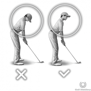 Chin should extend out at address
