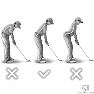 C, S, and Straight Spine Angle Comparison