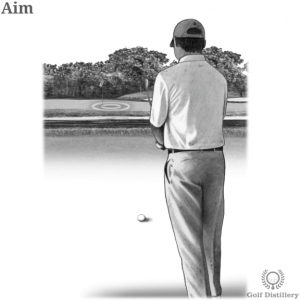 Golfer aiming at his target on the green