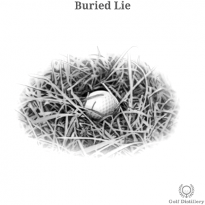 Buried Lie