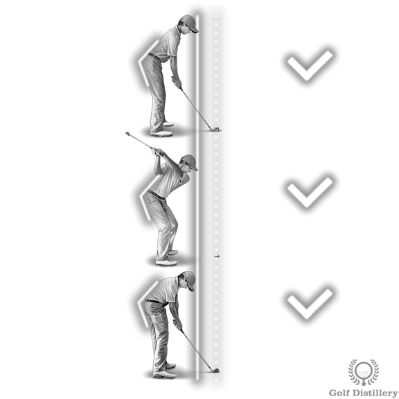 Resultado de imagen de golf swing spine