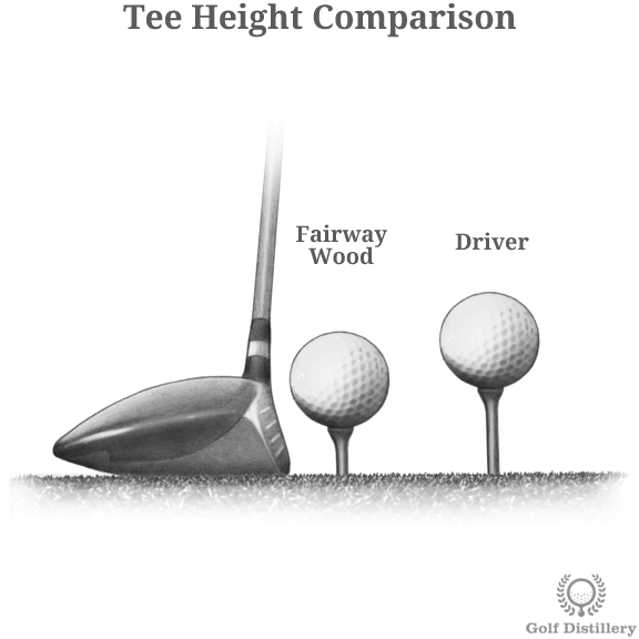 Wood - Golf Club Type - Illustrated Definition & Guide