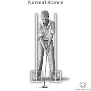 Normal Stance