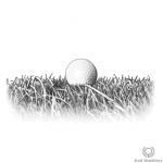Fluffy rough lie in golf