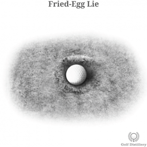 Fried-Egg Lie