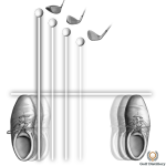 Golf ball position for every type of golf club