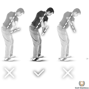 The line of the clubface should be parallel to your spine at the golf takeaway