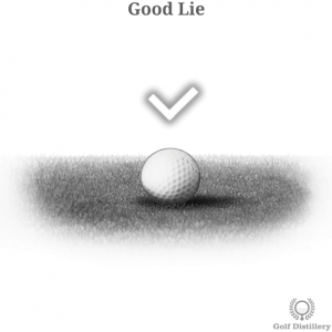 Good Lie