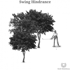 Hindrance to a swing impacting a golfer's lie