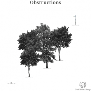 Obstructions in assessing a lie