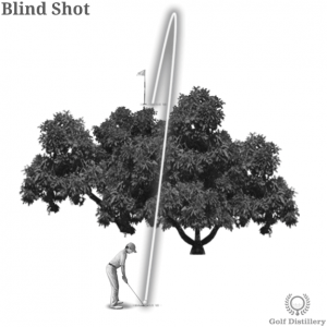 Blind Shot