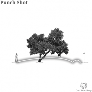 Punch Shot in Golf