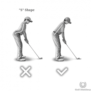 Spine should not adopt an S shape