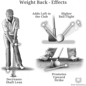 Weight Back Effects