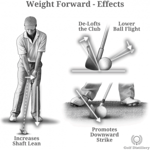 Weight Forward Effects